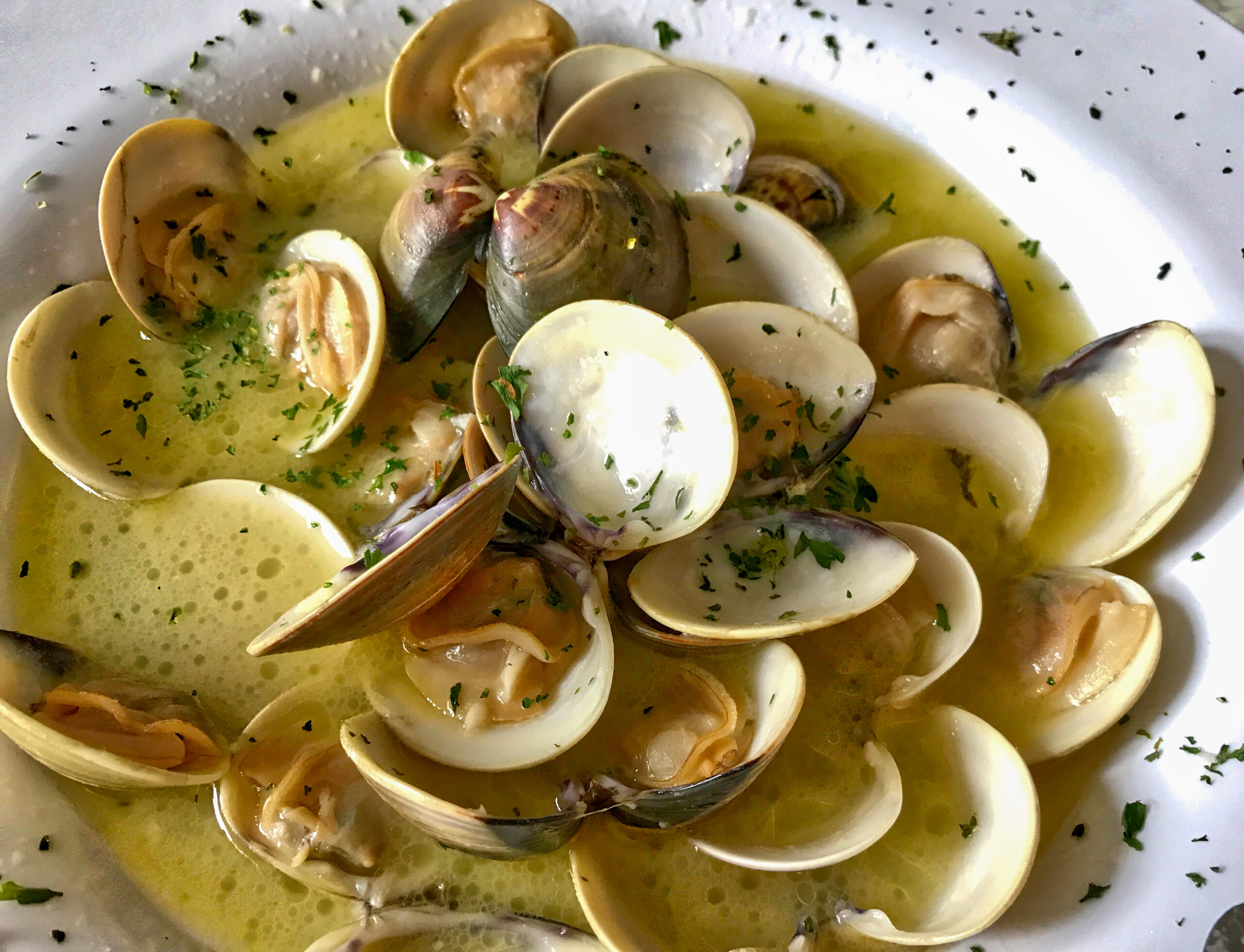 Steamed Clams with Leeks & Poblano Peppers
