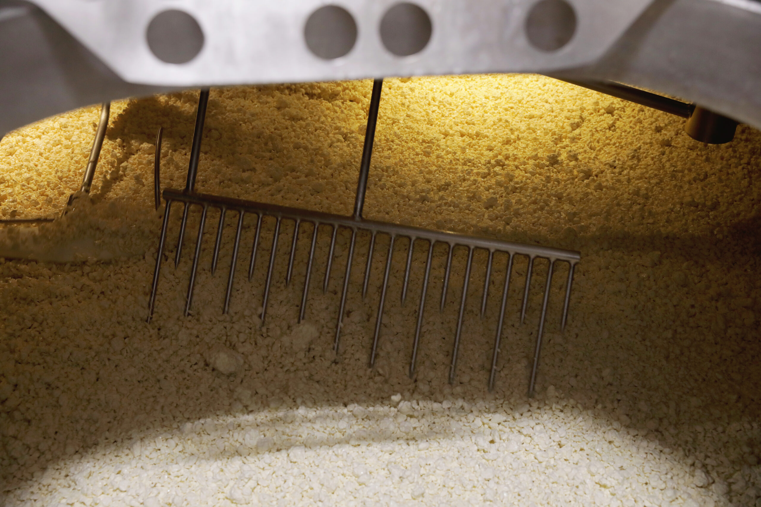 Minerva Dairy Cheese Process